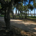 Anima Mea, Nyaraló *