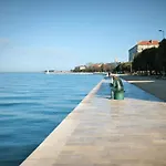 Anima Mea, Zára
