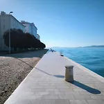 Nyaraló Anima Mea, *