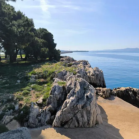 Anima Mea, Zadar