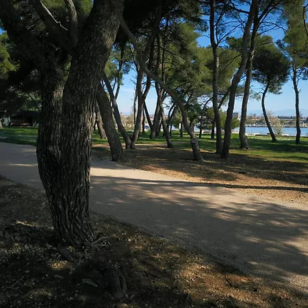 Anima Mea, Hébergement de vacances *