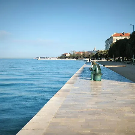 Anima Mea, Zadar